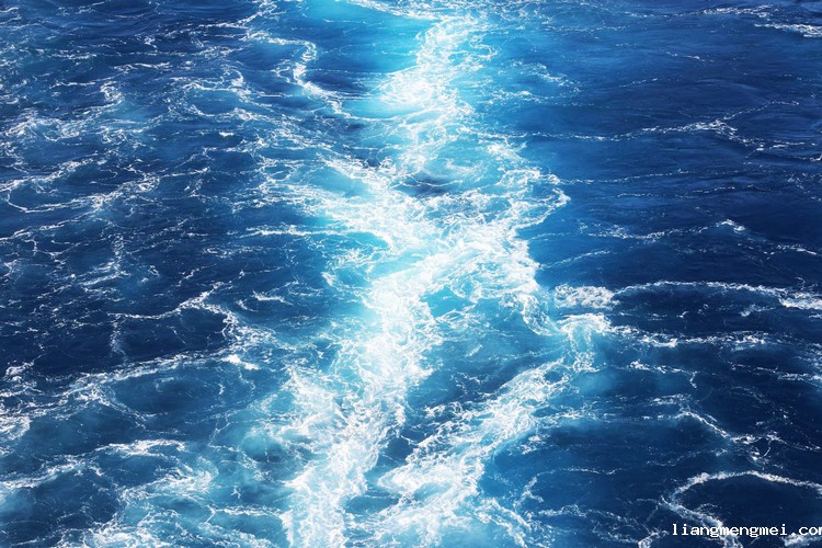 溶解氧